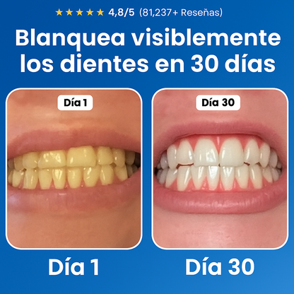 Reparación odontológica Nudenta